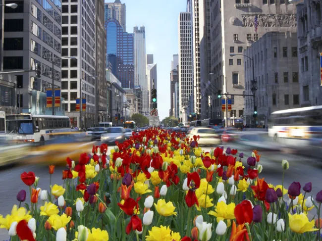Chicago